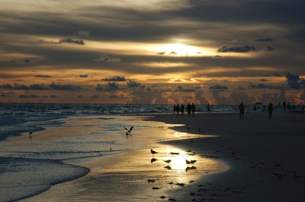 10 Tage Florida, USA, Der Siesta Key gilt als einer der schönsten Strände in den USA. Hier